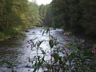 Wandern an der Ilz