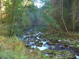 Appartement de vacances Waldkirchen Environnement 19