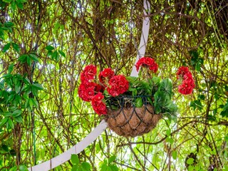 Appartamento Dubrovnik Registrazione all'aperto 11