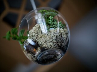 Appartement Split (Stadt)  5