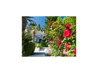 Appartement Mlini Buitenaudio-opname 4