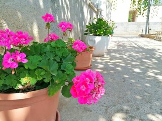 Apartamento Klek Grabación al aire libre 7