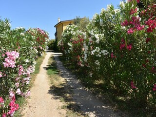 Vakantieappartement Lotzorai Omgeving 15