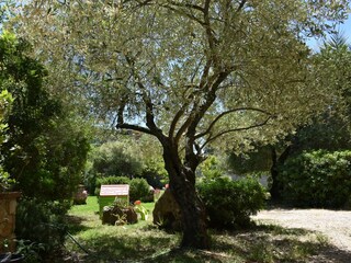 Appartamento per vacanze Lotzorai Ambiente 20