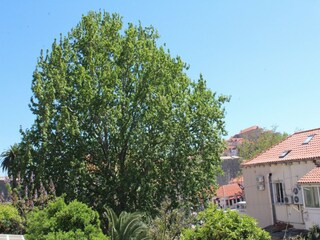 Apartamento Dubrovnik  24
