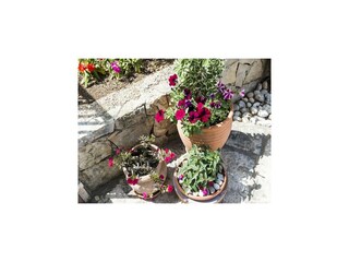 Apartment Cavtat Outdoor Recording 5
