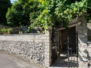 Apartment Wild Orange - One-Bedroom Apartment with Terrace - Dubrovnik - image1