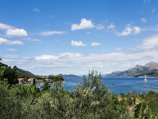 Appartement Koločep  17