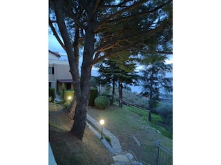 Ferienwohnung Cipressa Außenaufnahme 5