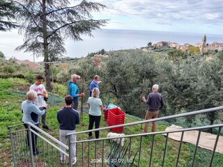 Ferienwohnung Cipressa Außenaufnahme 16