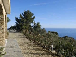 Ferienwohnung Cipressa Außenaufnahme 2