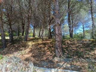 Appartamento per vacanze Cipressa Registrazione all'aperto 15