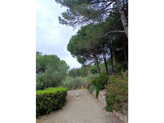 Vakantieappartement Cipressa Buitenaudio-opname 8