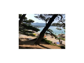 Appartement Mlini  24