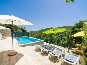 Holiday house House Kočan-Four Bedroom Villa with Terrace and Swimming Pool - Molunat - image1