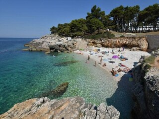 Holiday house Molunat  46