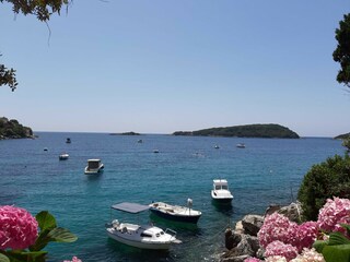 Holiday house Molunat  38