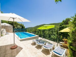 Holiday house House Kočan-Four Bedroom Villa with Terrace and Swimming Pool - Molunat - image1