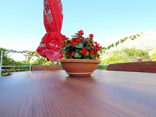 Apartamento Orebic Grabación al aire libre 10