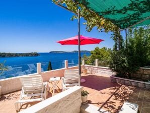 Appartamento Apartments Lovro - One Bedroom Apartment with Terrace and Sea View (2) - Zaton vicino a Dubrovnik - image1