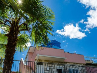 Appartement Potomje Buitenaudio-opname 2