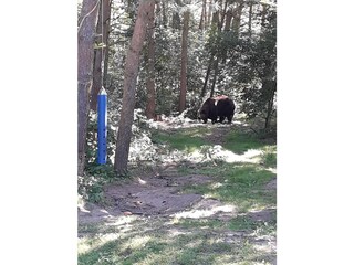 Appartamento per vacanze Malchow Ambiente 28