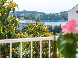 Appartement Cavtat  18