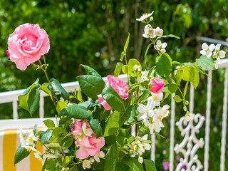 Apartamento Cavtat Grabación al aire libre 2