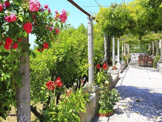 Apartment Orasac Außenaufnahme 2