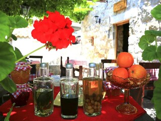 Appartement Orasac  20