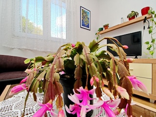 Apartment Kozarica Außenaufnahme 2