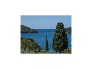 Apartment Molunat  18