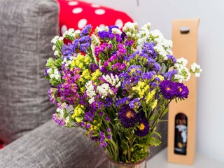 Appartement Doli  21