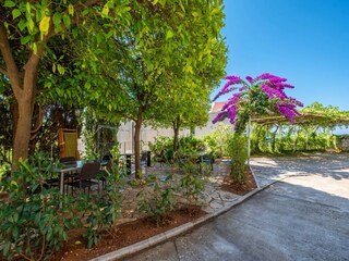 Appartement Mlini  11