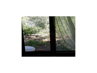Vakantiehuis Maslinica Buitenaudio-opname 2