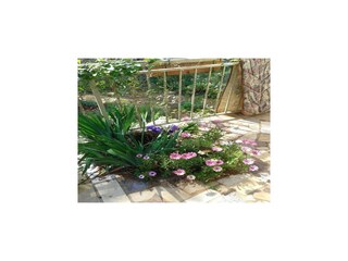 Holiday house Maslinica  21