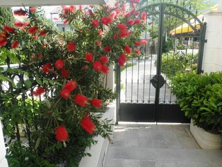 Apartment Cavtat Features 8