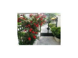Apartamento Cavtat Grabación al aire libre 4