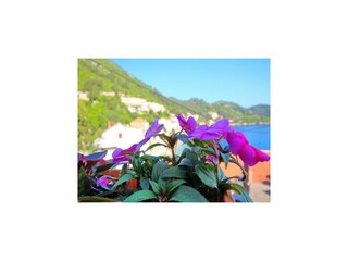 Appartement Sobra  15