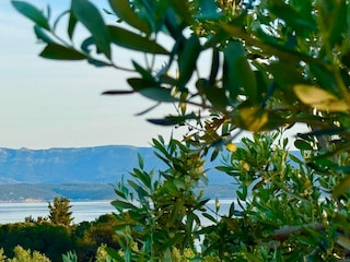 Holiday house Bol  25