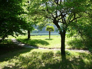 Blick vom Park zum See