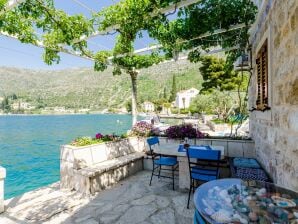 Apartments Lion - Apartment mit einem Schlafzimmer (A1) - Zaton bei Dubrovnik - image1