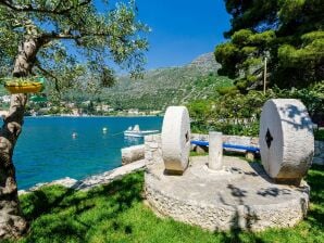 Apartments Lion - One Bedroom Apartment (A2) - Zaton near Dubrovnik - image1