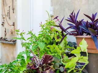 Appartamento Dubrovnik Registrazione all'aperto 2