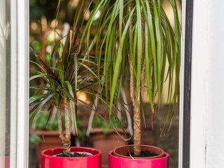 Apartment Dubrovnik Außenaufnahme 4