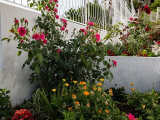 Appartamento Mlini  25