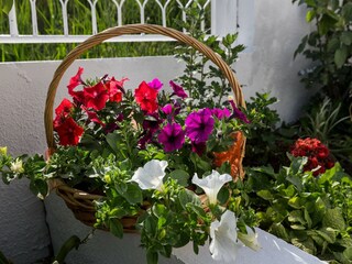 Appartamento Mlini  24