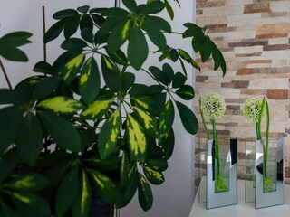 Appartamento Mlini  43