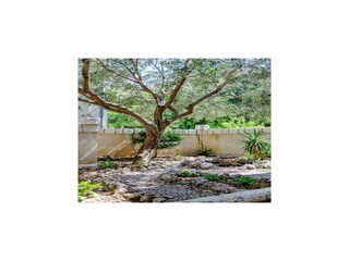 Apartamento Brela Grabación al aire libre 3