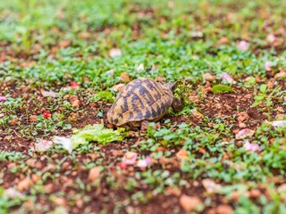 Apartamento Dubrovnik Grabación al aire libre 4
